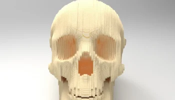 Макет "3d деревянный череп"
