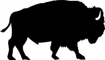 Layout "Silhouette of a buffalo" #3180790668