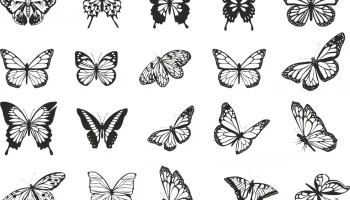 Макет "Коллекция векторных рисунков бабочек"