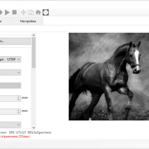 RIBS (Raster Image Burning Software) последняя версия 1.9.5
