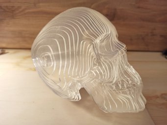 Акриловая 3d модель черепа 0