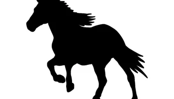 Layout "Horse runs 1" #2773691827