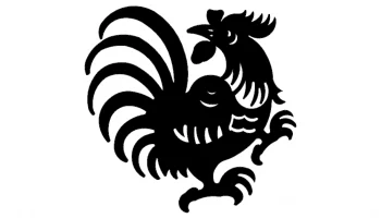 Layout "Rooster 4"