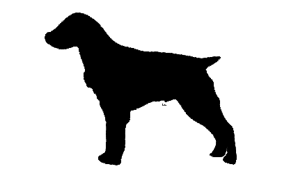 The layout of the "Brittany spaniel" #6759130547 0