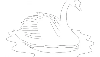 Layout "Swan details" #7404737041