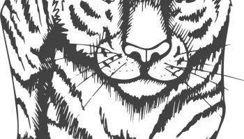 Макет "Художественная печать тигра"