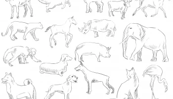 Макет "Набор нарисованных от руки животных"