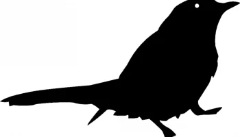 Layout "Silhouette of a bird" #1273844253