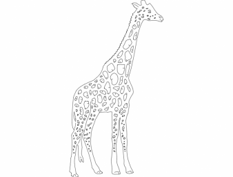 Макет "Girafa" 0