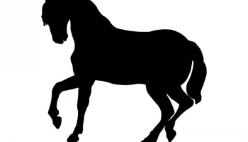 Layout "Silhouette of a dancing horse vector" #6543329671