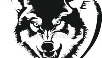 Макет "Мужская футболка с волком"