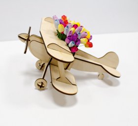 Макет "Деревянная модель самолета подставка для цветов цветочный горшок" 0